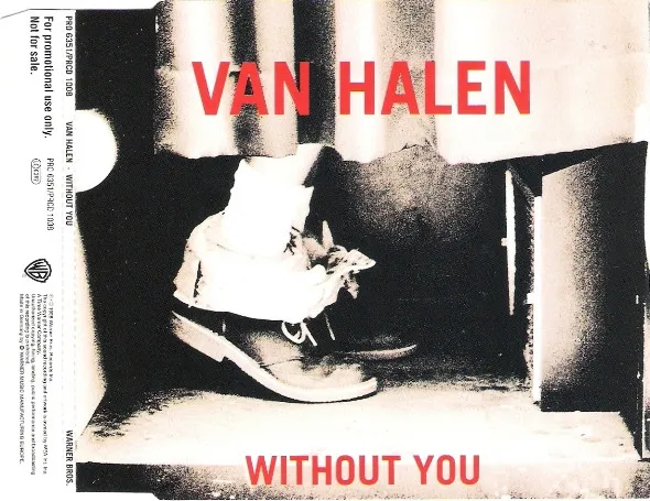 Without You