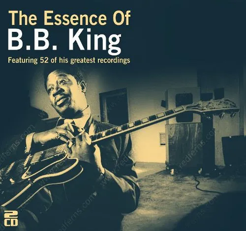 The Essence Of B.B.King