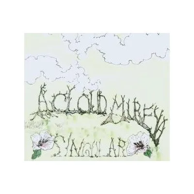 Singular