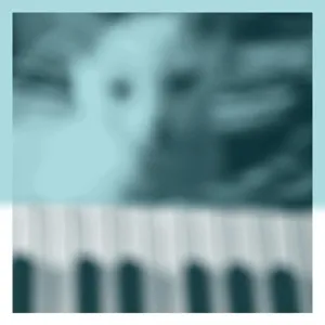 Piano Works Vol. 1