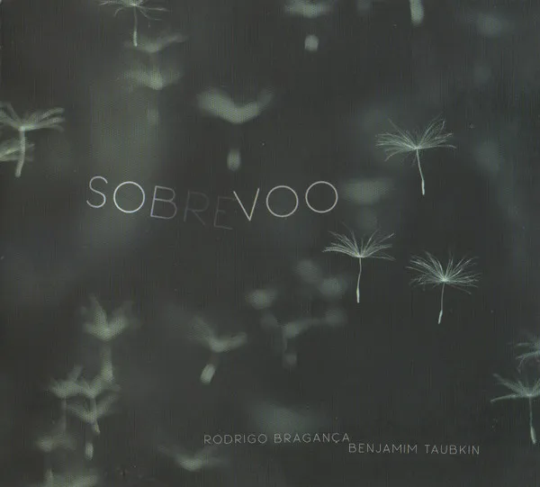 Sobrevoo