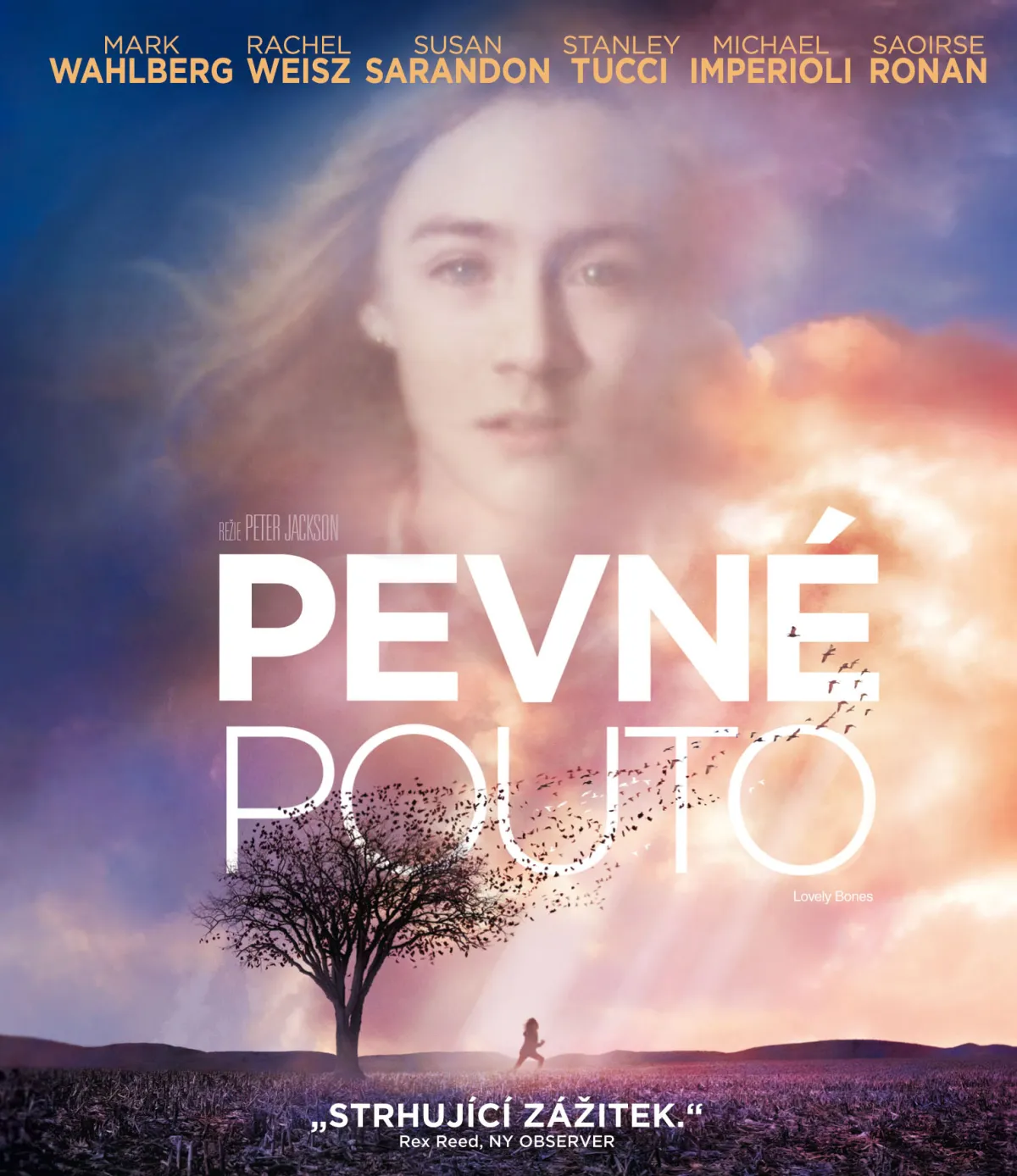 Pevné pouto BD