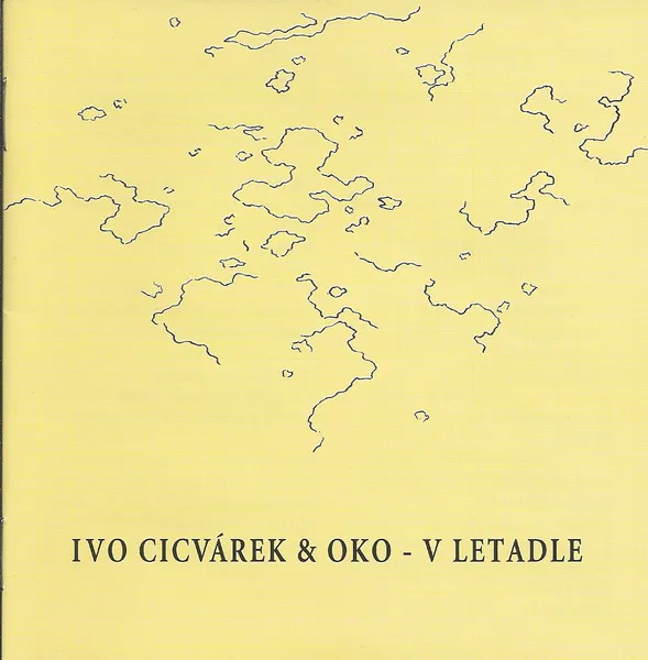 V letadle
