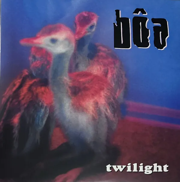 Boa:  Twilight