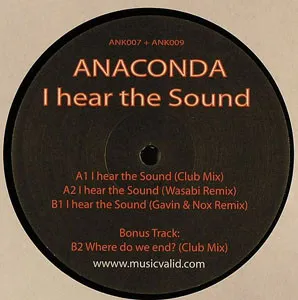 I Hear The Sound
