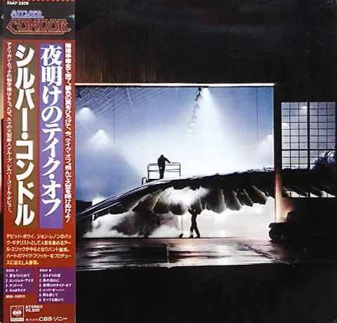 Silver Condor