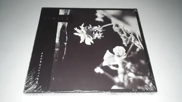 Wallflowers