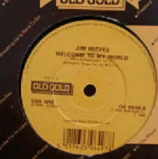 Welcome To My World