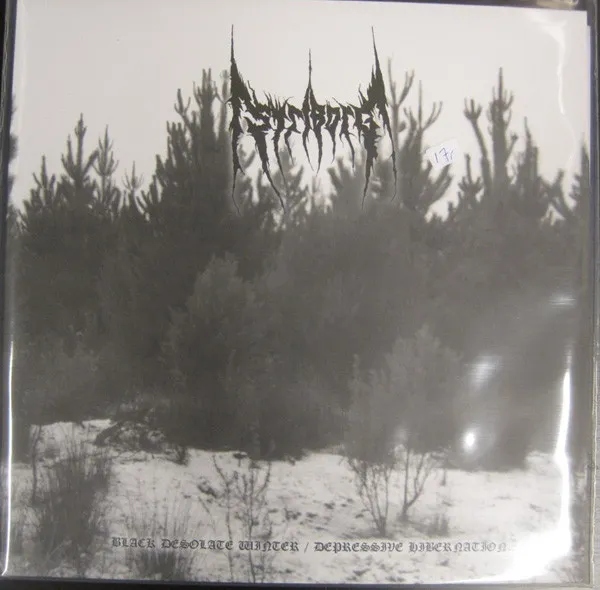 Black Desolate Winter / Depressive Hibernation