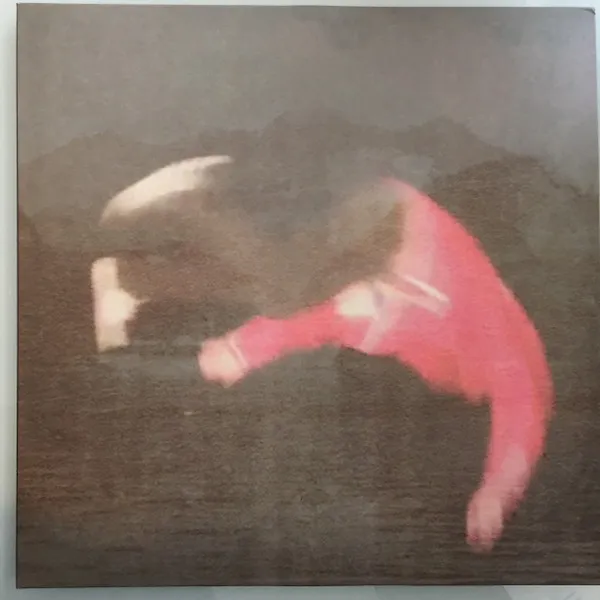 The nothing,nowhere. LP