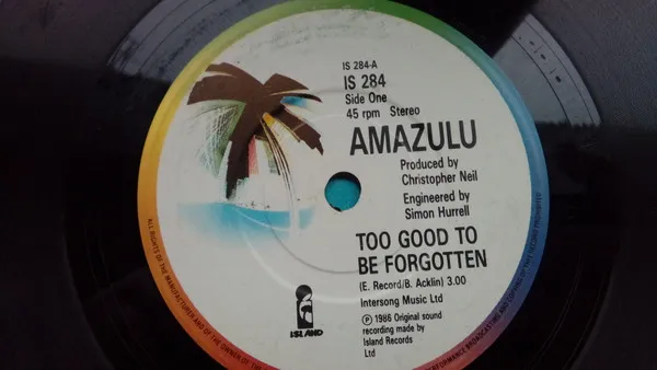 Too Good To Be Forgotten