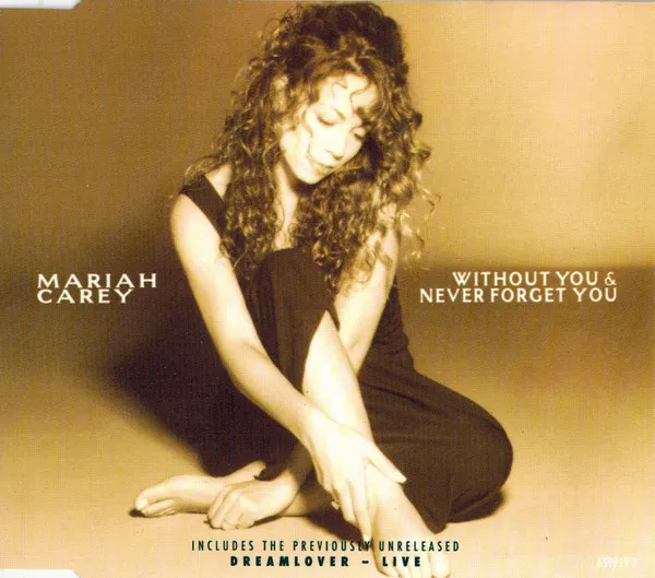 Without You