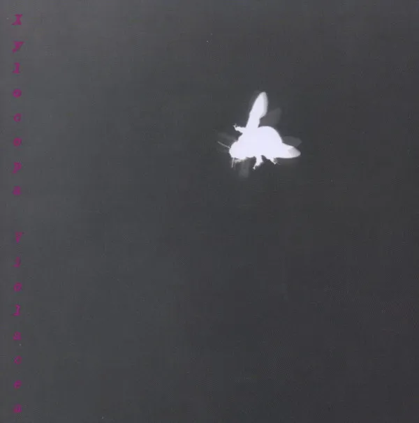 Xylocopa Violacea (Solo Per Viola And Live-electronics)