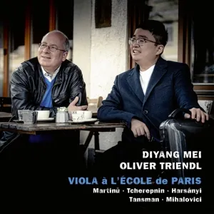 Mei, Diyang & Triendl, Oliver