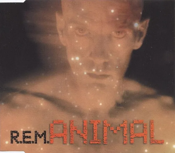 Animal