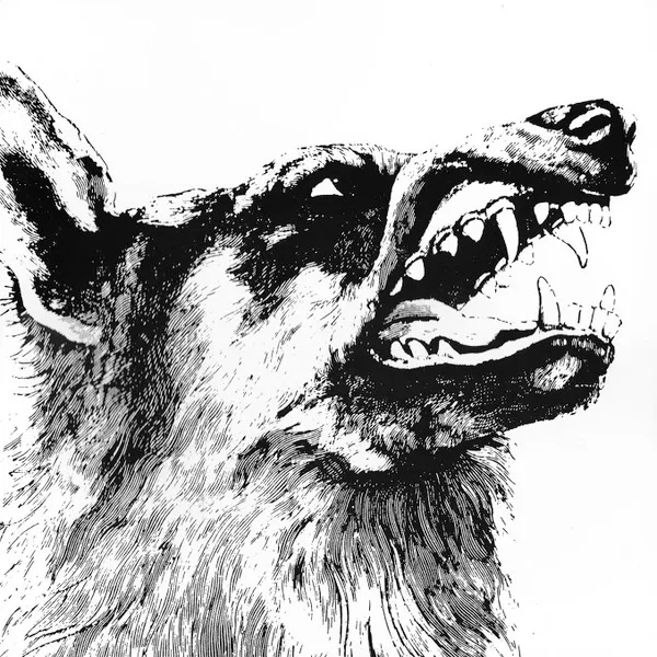 I VIGILANTE LTD