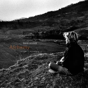 Alchemy: An Index Of Possibilities (Gold Vinyl)