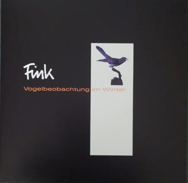 Vogelbeobachtung Im Winter