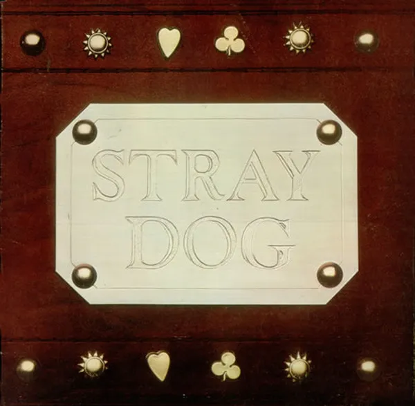 Stray Dog
