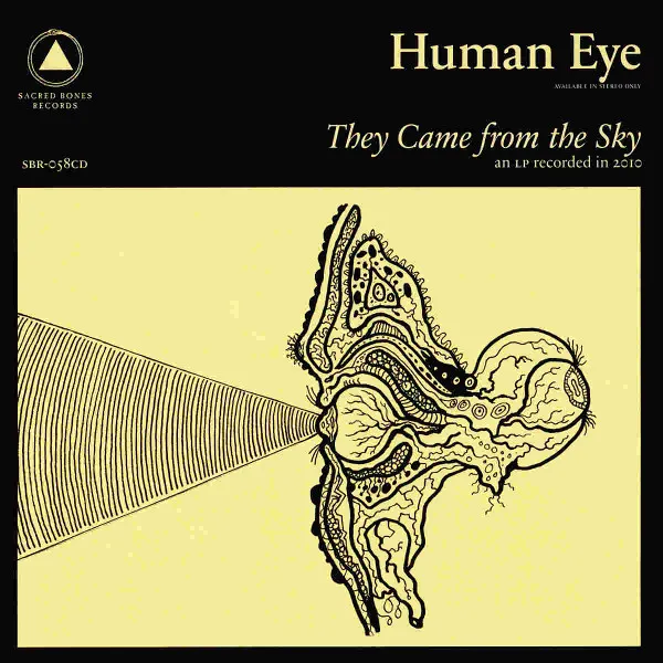 They Came From the Sky