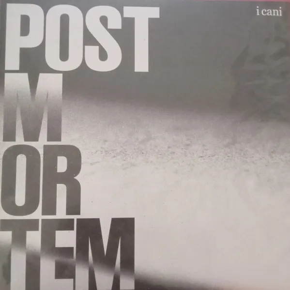 Post Mortem