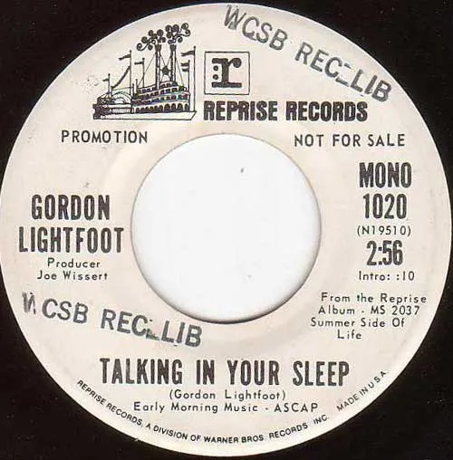 Talking In Your Sleep