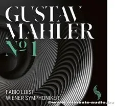 Symphony N°1