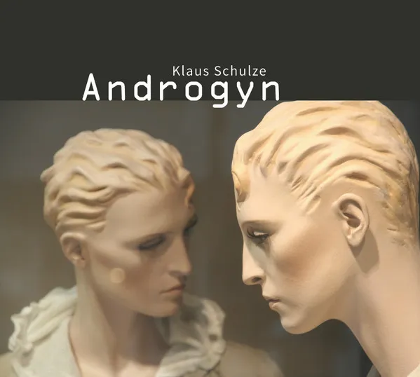 ANDROGYN