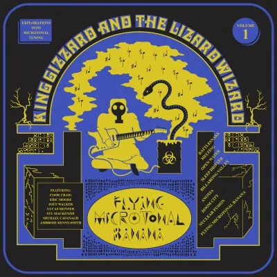 Flying Microtonal Banana (Digisleeve)