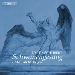 Schwanengesang für Klavier (Transkription von Franz Liszt)