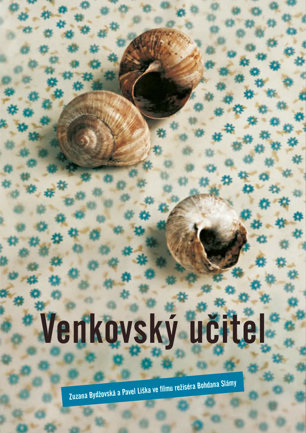 Venkovský učitel DVD