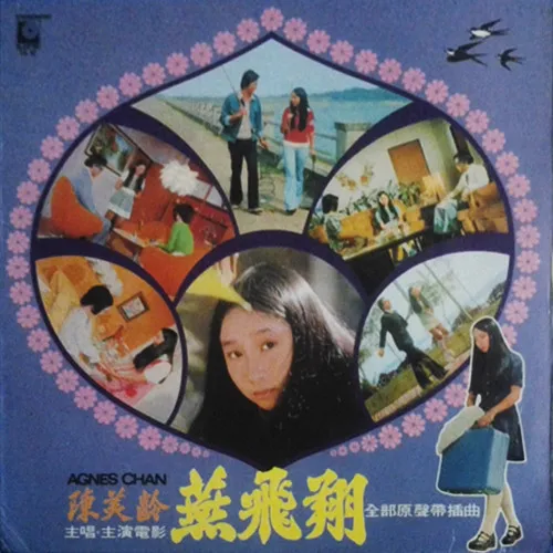 雨中康乃馨