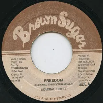 Freedom (Dedicated To Nelson Mandela)