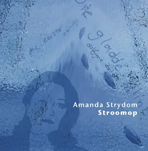 Stroomop