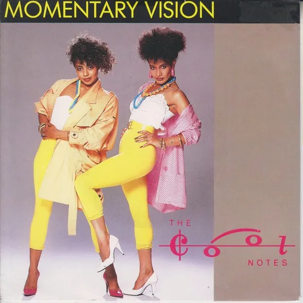 Momentary Vision