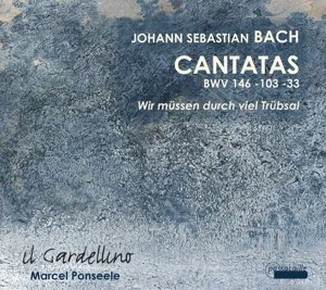 Kantaten BWV 33, 103, 146