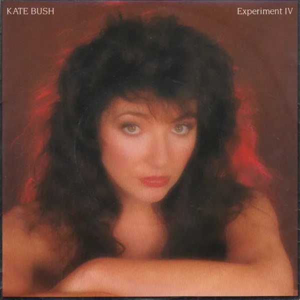 Experiment IV