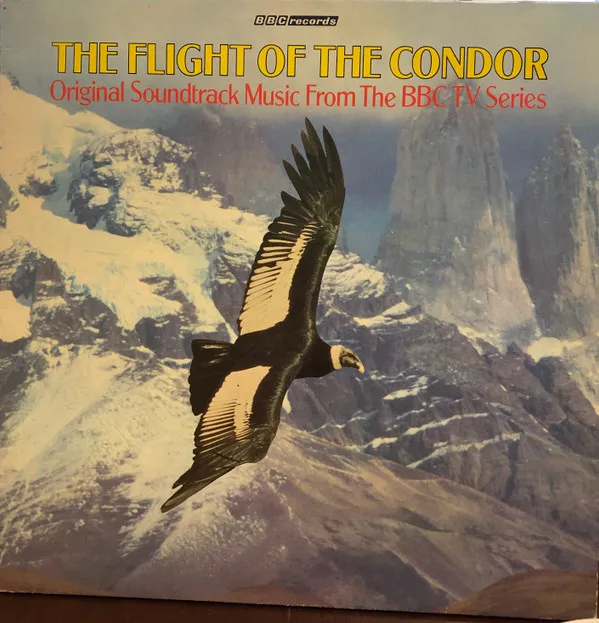 Flight Of The Condor