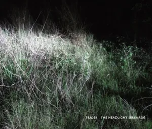 Headlight Serenade