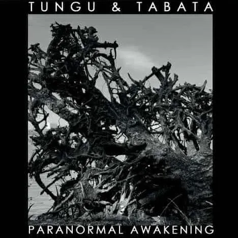Paranormal Awakening