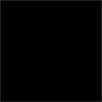 The Black Album