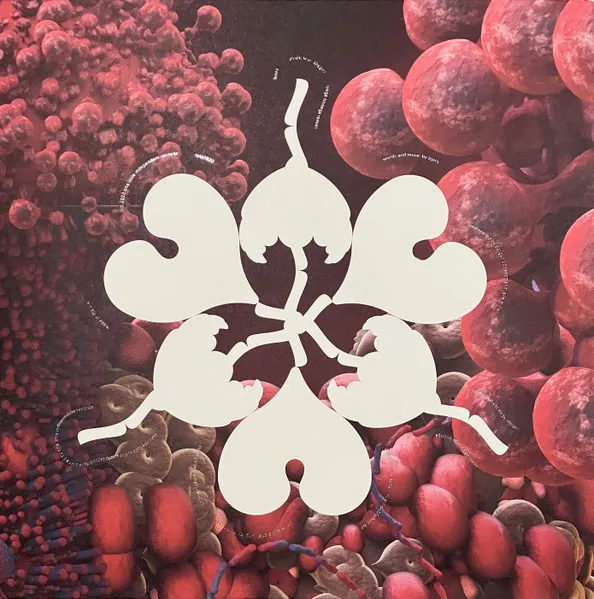Fossora Remixes