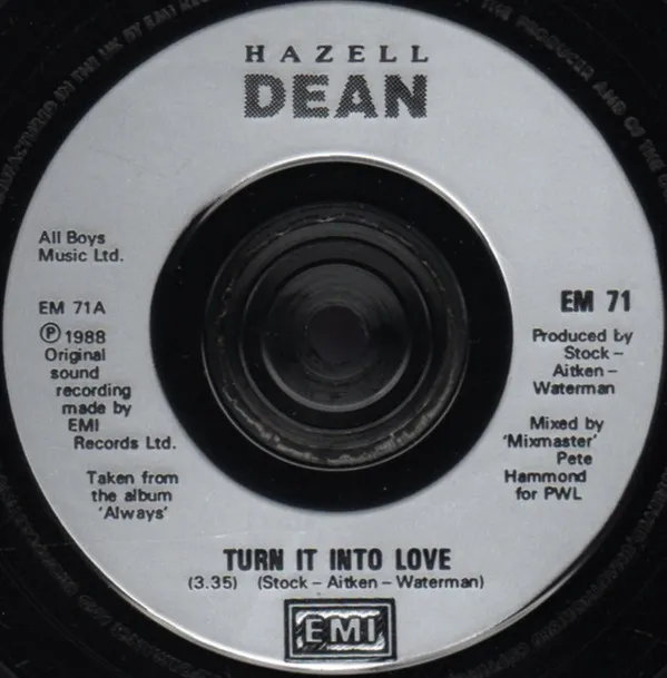 Turn It Into Love