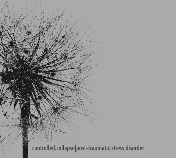 Post-Traumatic Stress Disorder