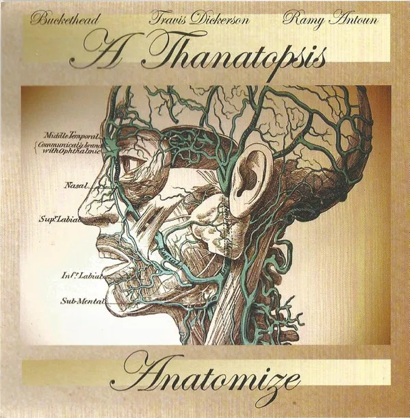 Anatomize