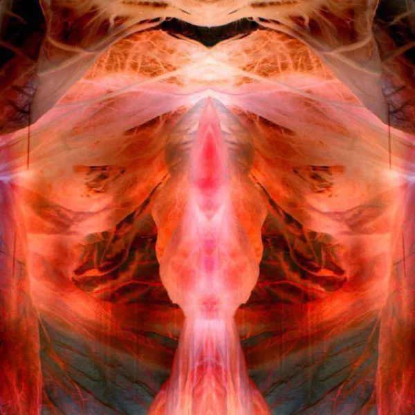 The Annihilating Angel; Or, The Surface Of The World