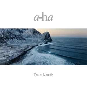 True North (180g) (Recycled Black Vinyl)
