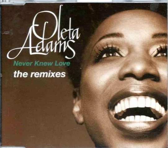 Never Knew Love (The Remixes)