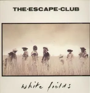 White Fields