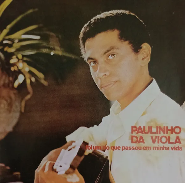 Foi Um Rio Que Passou Na Minha Vida